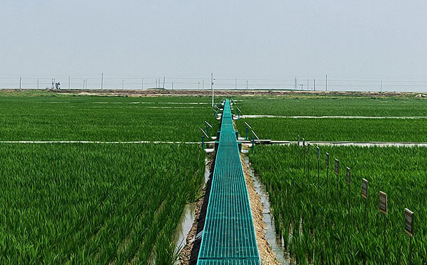 螺旋打洞機(jī)深埋立桿鉆孔