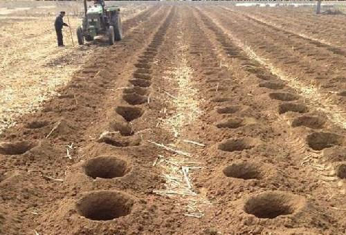 拖拉機挖坑機挖坑效果