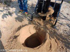 小型挖樹坑機地下打洞功底扎實