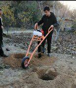 植樹(shù)挖坑機(jī)掌握栽植方法