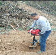 體會植樹挖坑機的栽植好處