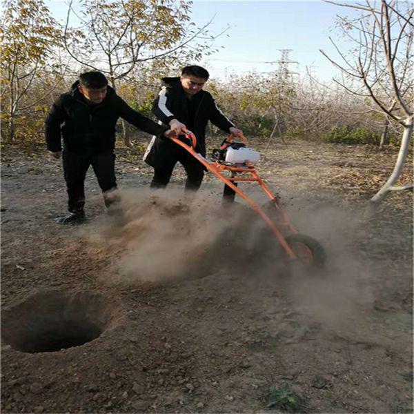 如何植樹及植樹挖坑機應(yīng)用