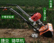 農(nóng)用鋤草機(jī)山區(qū)除草場(chǎng)面