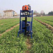 汽油挖坑機(jī)農(nóng)用大功率植樹(shù)機(jī)