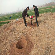 植樹鉆坑機(jī)更多地形挖坑輕便